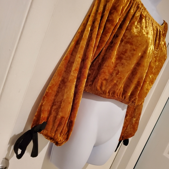 FOREVER 21 VELVET CROP TOP - Picture 4 of 8